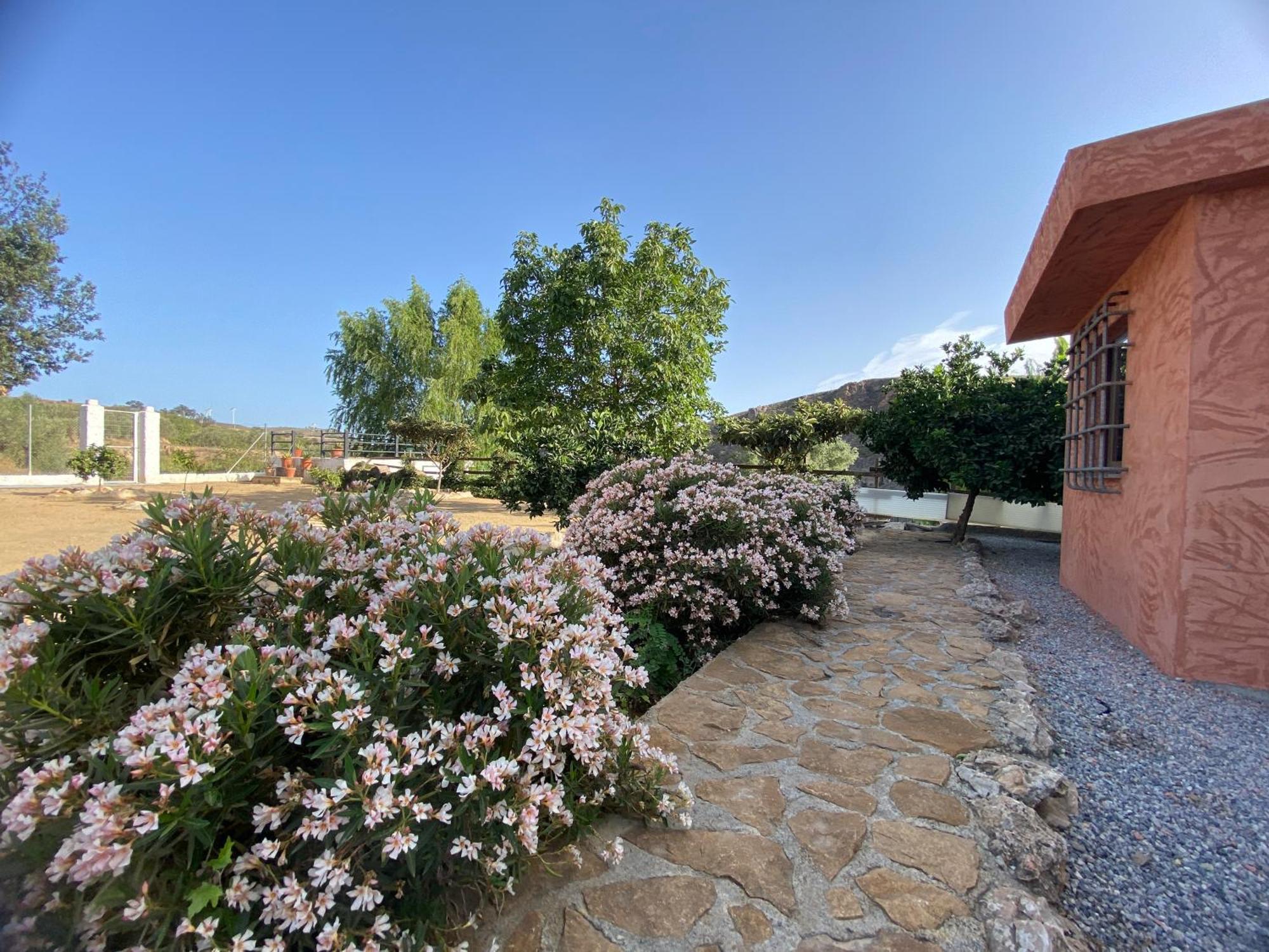 Villa Elisabeth Granada Buitenkant foto